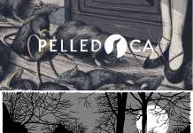 Pelledoca. Intervista a un Editore da brivido