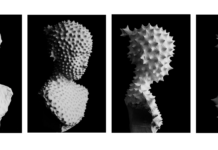 Fredric Jameson, la science fiction, l’utopia