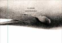 Charles Olson / Un poeta americano imbarcato sulla baleniera