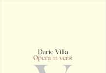 Dario Villa / Poesia, “la cosa che si dice mi somigli”