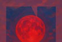 Joe Mungo Reed / Quel che nel nostro tempo connette il futuro al passato