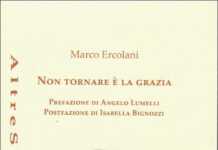 Marco Ercolani / Viaggio non finito